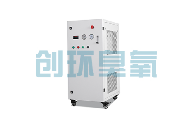 承德比传统换水更高效?臭氧发生器在石斑鱼养殖中的水质净化原理解析
